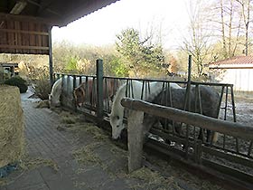 Beim Fressen