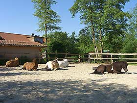 satt und entspannt